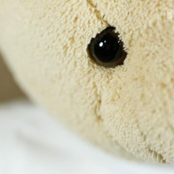 mi-primer-peluche-personalizado-1